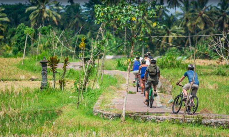 Cycling Cycling